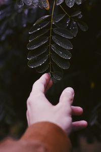Preview wallpaper hand, leaf, fingers, plant