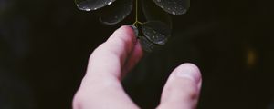 Preview wallpaper hand, leaf, fingers, plant