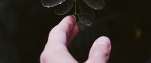 Preview wallpaper hand, leaf, fingers, plant