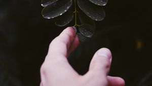Preview wallpaper hand, leaf, fingers, plant