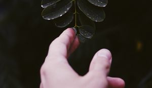 Preview wallpaper hand, leaf, fingers, plant