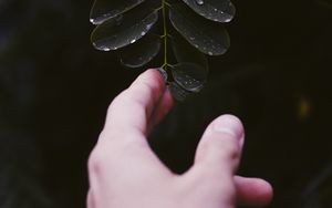 Preview wallpaper hand, leaf, fingers, plant