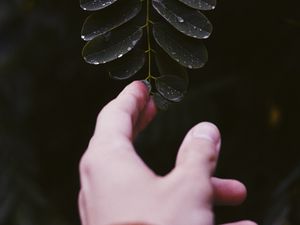 Preview wallpaper hand, leaf, fingers, plant