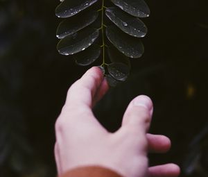 Preview wallpaper hand, leaf, fingers, plant