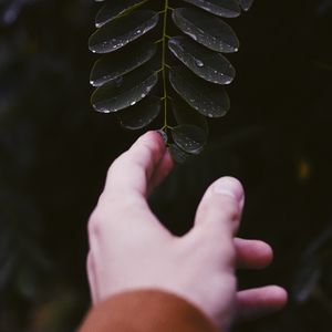 Preview wallpaper hand, leaf, fingers, plant