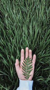 Preview wallpaper hand, leaf, grass, drops