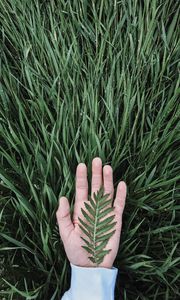 Preview wallpaper hand, leaf, grass, drops