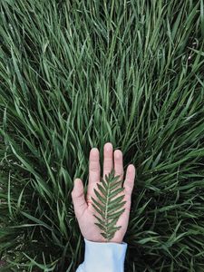 Preview wallpaper hand, leaf, grass, drops