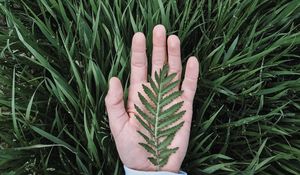 Preview wallpaper hand, leaf, grass, drops