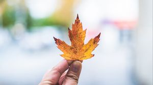 Preview wallpaper hand, leaf, maple, fingers