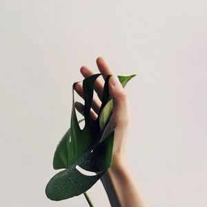 Preview wallpaper hand, leaf, minimalism, plant, drops
