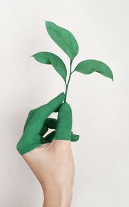 Preview wallpaper hand, leaf, paint, green, white, minimalism