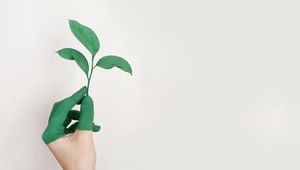 Preview wallpaper hand, leaf, paint, green, white, minimalism