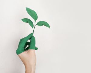 Preview wallpaper hand, leaf, paint, green, white, minimalism