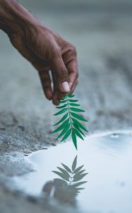 Preview wallpaper hand, leaf, water, reflection, plant