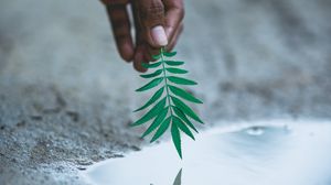 Preview wallpaper hand, leaf, water, reflection, plant