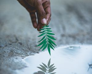 Preview wallpaper hand, leaf, water, reflection, plant