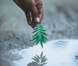 Preview wallpaper hand, leaf, water, reflection, plant