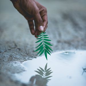 Preview wallpaper hand, leaf, water, reflection, plant