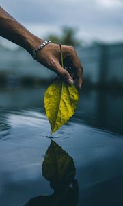 Preview wallpaper hand, leaf, water, touch