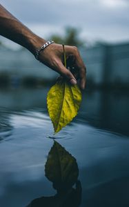Preview wallpaper hand, leaf, water, touch
