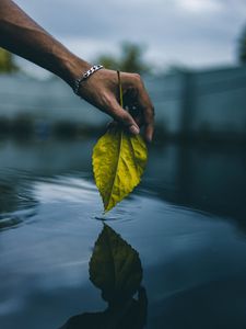 Preview wallpaper hand, leaf, water, touch