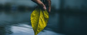 Preview wallpaper hand, leaf, water, touch