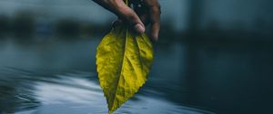 Preview wallpaper hand, leaf, water, touch