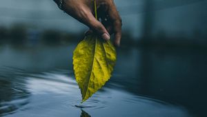 Preview wallpaper hand, leaf, water, touch