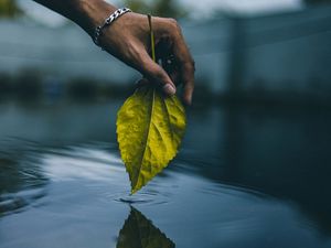 Preview wallpaper hand, leaf, water, touch