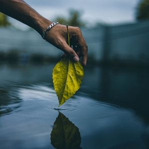 Preview wallpaper hand, leaf, water, touch