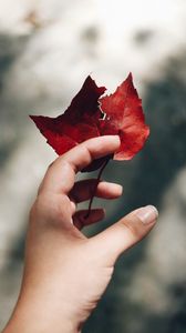 Preview wallpaper hand, leaves, autumn, focus