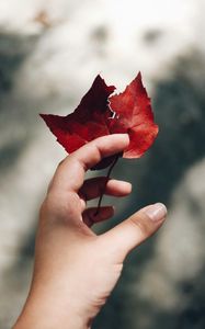 Preview wallpaper hand, leaves, autumn, focus