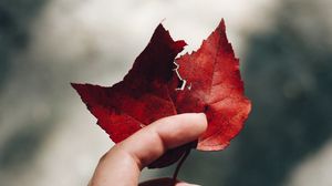 Preview wallpaper hand, leaves, autumn, focus