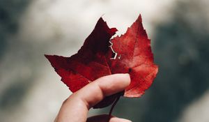 Preview wallpaper hand, leaves, autumn, focus