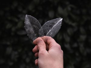 Preview wallpaper hand, leaves, ice, transparent