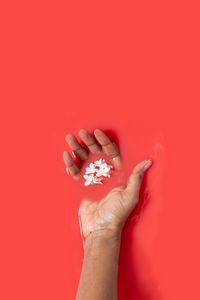 Preview wallpaper hand, liquid, flowers, red
