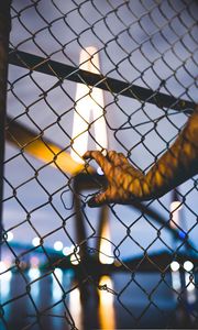 Preview wallpaper hand, mesh, fence, night