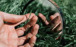 Preview wallpaper hand, mirror, grass