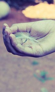 Preview wallpaper hand, palm, dandelion, fluff, bracelets