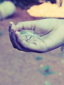 Preview wallpaper hand, palm, dandelion, fluff, bracelets