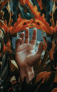 Preview wallpaper hand, palm, leaves, plant, fingers