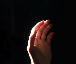 Preview wallpaper hand, palm, light, dark