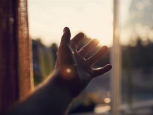 Preview wallpaper hand, palm, window, light, rays