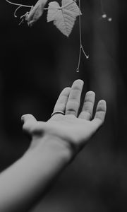 Preview wallpaper hand, plant, bw, leaves, drops, vine