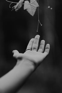 Preview wallpaper hand, plant, bw, leaves, drops, vine