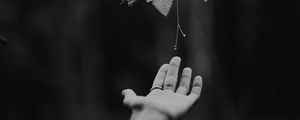 Preview wallpaper hand, plant, bw, leaves, drops, vine