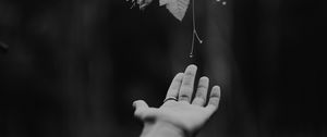 Preview wallpaper hand, plant, bw, leaves, drops, vine