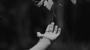 Preview wallpaper hand, plant, bw, leaves, drops, vine