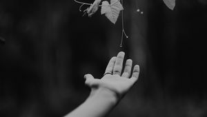 Preview wallpaper hand, plant, bw, leaves, drops, vine